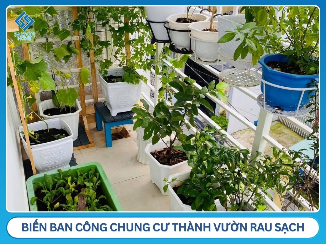 15+ ý tưởng thiết kế ban công chung cư đẹp TỐI ƯU diện tích Biến ban công chung cư thành vườn rau sạch